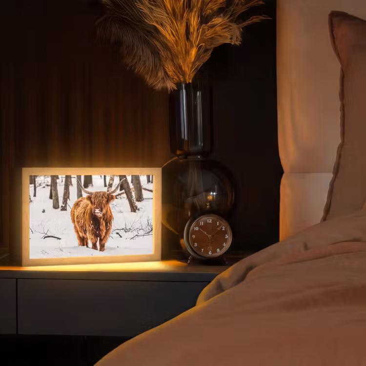 Schotse Hooglander - Sneeuw - Winter - Natuur - Dieren Light Box met kabel (Tafellamp) klein -sfeer1