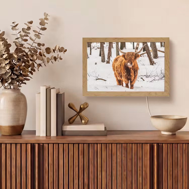 Schotse Hooglander - Sneeuw - Winter - Natuur - Dieren Light Box met kabel (Tafellamp) klein -sfeer2