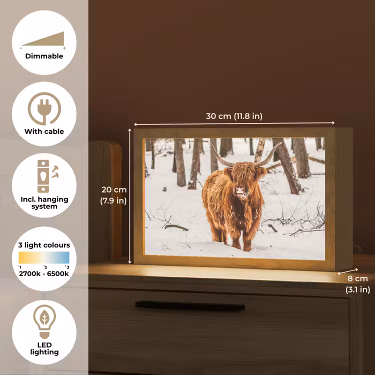 Schotse Hooglander - Sneeuw - Winter - Natuur - Dieren Light Box met kabel (Tafellamp) klein -USP_EN