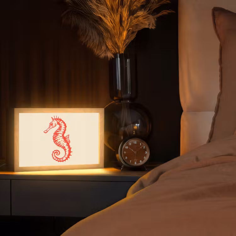 Zeepaardje - Rood - Fijne details Light Box met kabel (Tafellamp) klein -sfeer1