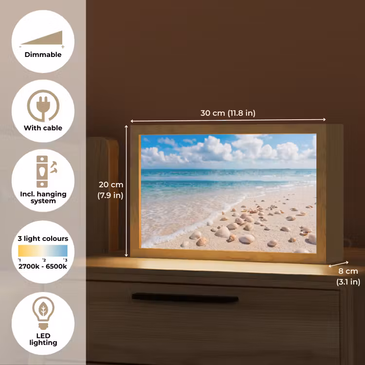 Schelpen - Strand - Natuur - Beige Light Box met kabel (Tafellamp) klein -USP_EN