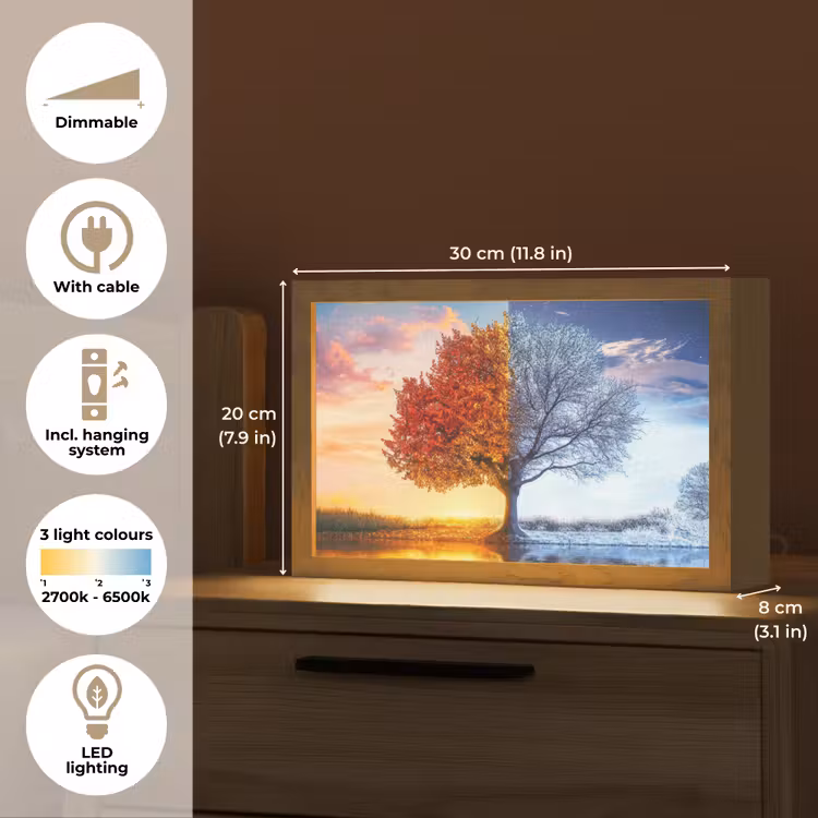 Seizoenen - Kunst - Boom - Herfst - Winter Light Box met kabel (Tafellamp) klein -USP_EN