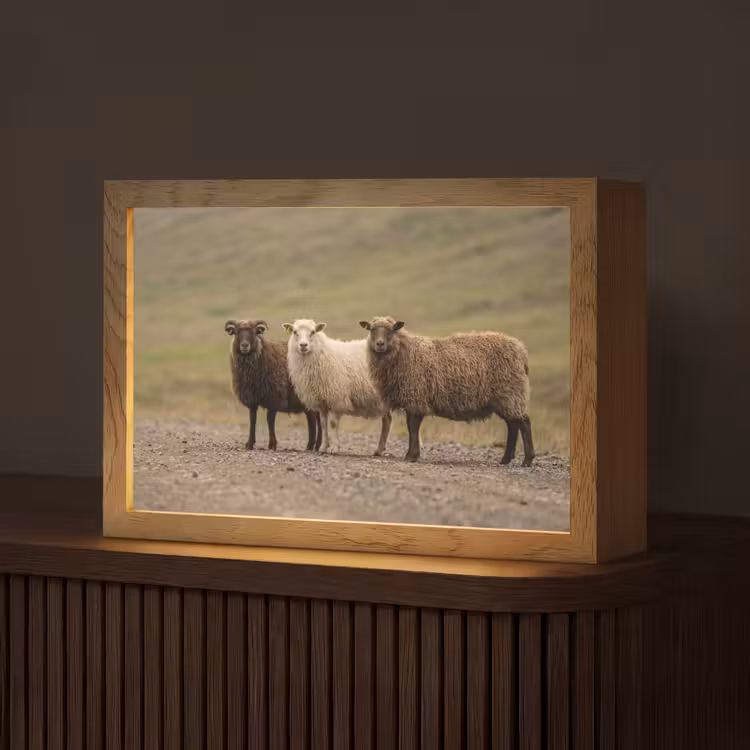 Schapen - Bruin - Wit - Grindpad Light Box met kabel (Tafellamp) klein -z3d_website