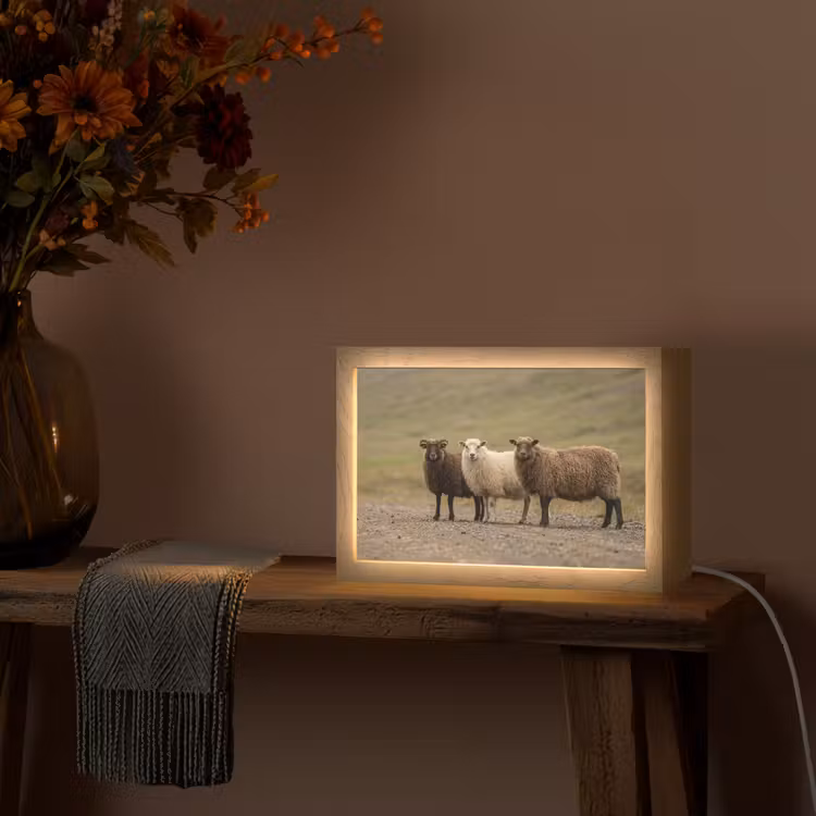 Schapen - Bruin - Wit - Grindpad Light Box met kabel (Tafellamp) klein -sfeer4