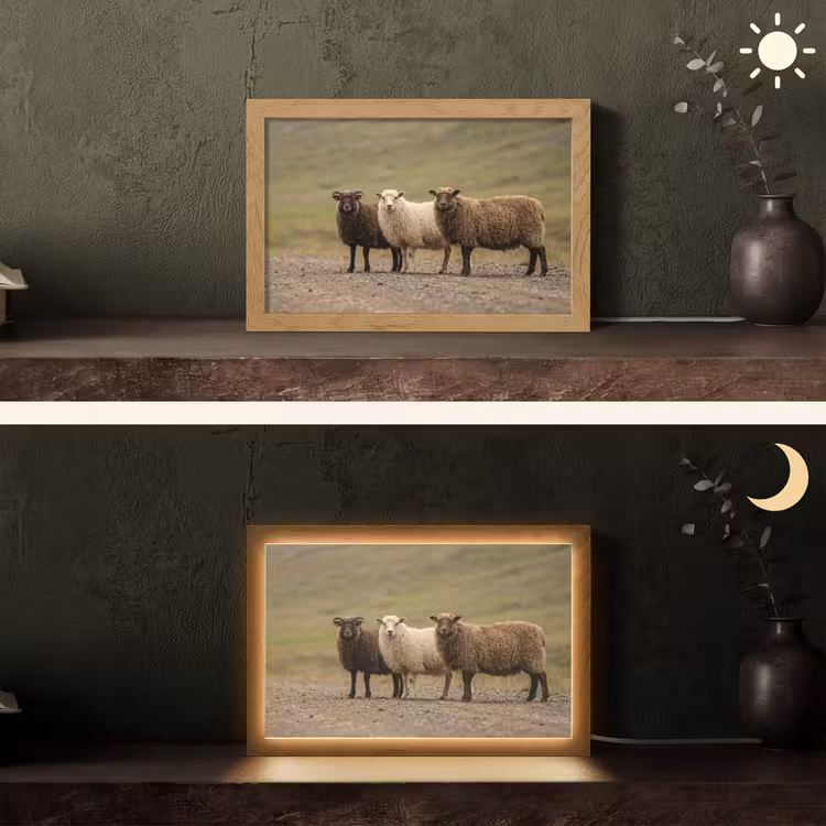 Schapen - Bruin - Wit - Grindpad Light Box met kabel (Tafellamp) klein -sfeer3