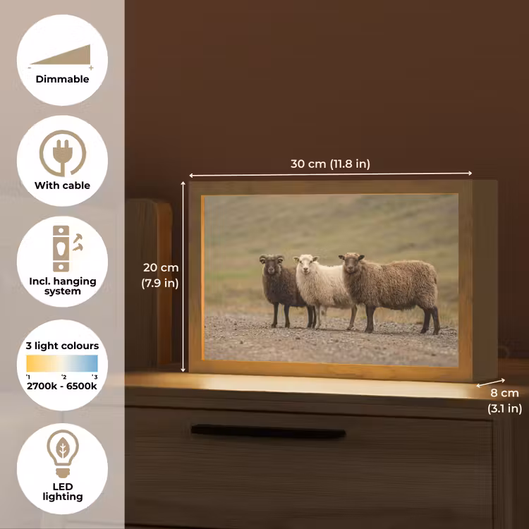 Schapen - Bruin - Wit - Grindpad Light Box met kabel (Tafellamp) klein -USP_EN
