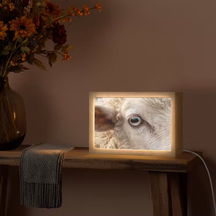 Schaap - Oog - Wit Light Box met kabel (Tafellamp) klein -sfeer4