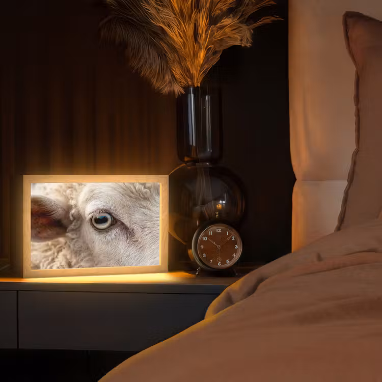 Schaap - Oog - Wit Light Box met kabel (Tafellamp) klein -sfeer1