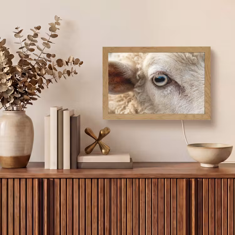 Schaap - Oog - Wit Light Box met kabel (Tafellamp) klein -sfeer2