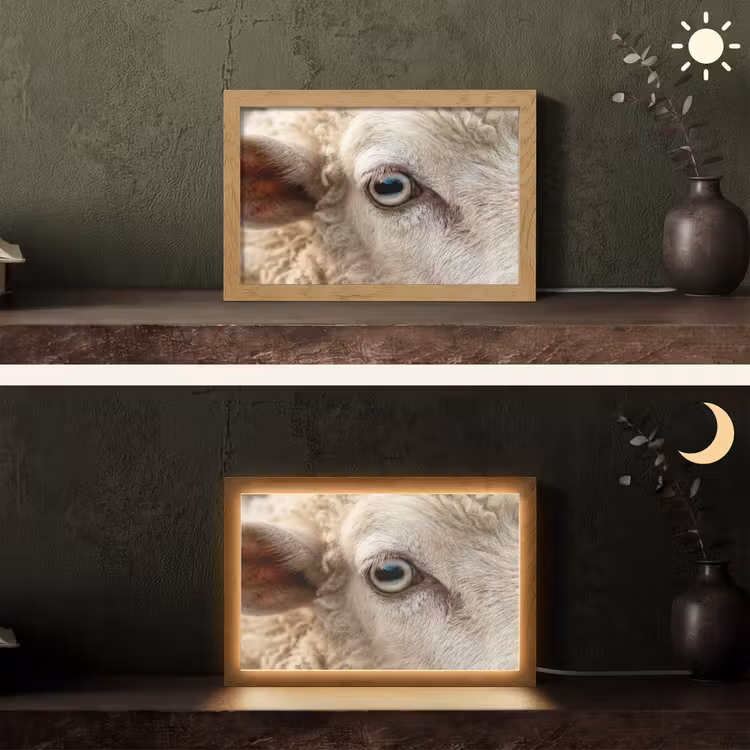 Schaap - Oog - Wit Light Box met kabel (Tafellamp) klein -sfeer3