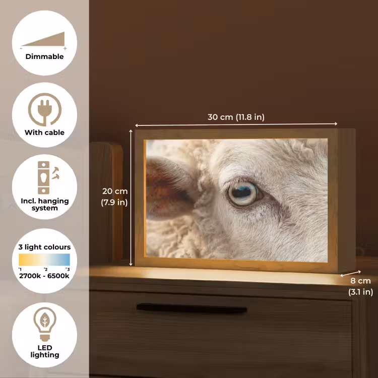 Schaap - Oog - Wit Light Box met kabel (Tafellamp) klein -USP_EN