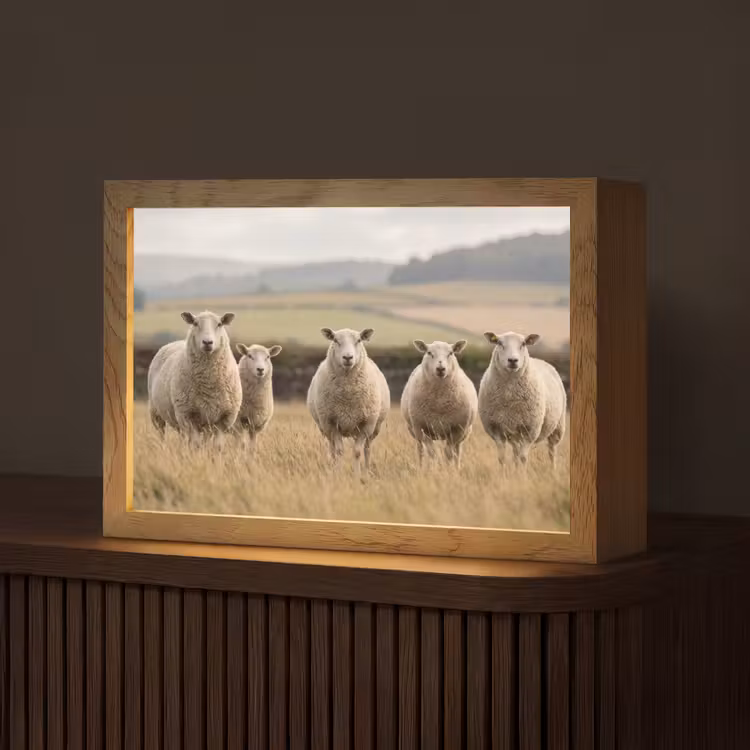 Schapen - Weidenlandschap - Heuvels Light Box met kabel (Tafellamp) klein -z3d_website