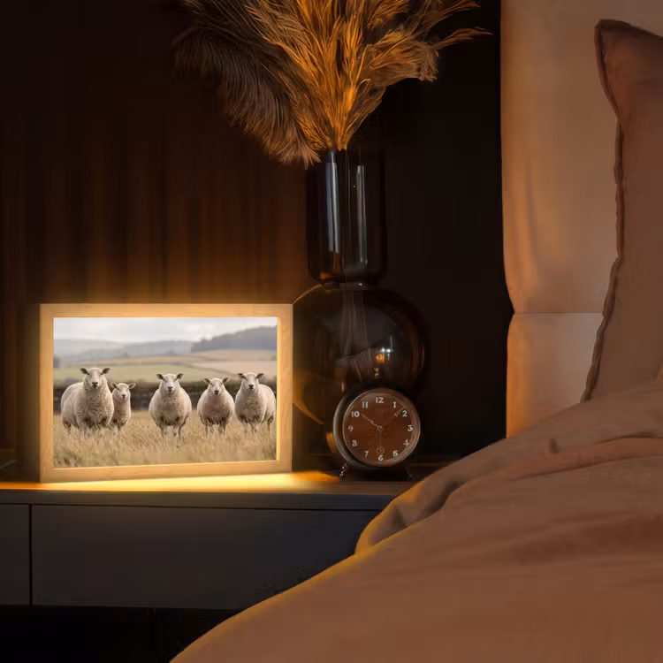 Schapen - Weidenlandschap - Heuvels Light Box met kabel (Tafellamp) klein -sfeer1