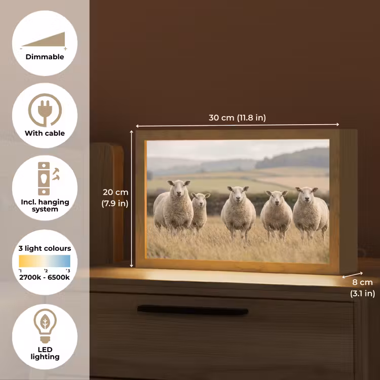 Schapen - Weidenlandschap - Heuvels Light Box met kabel (Tafellamp) klein -USP_EN