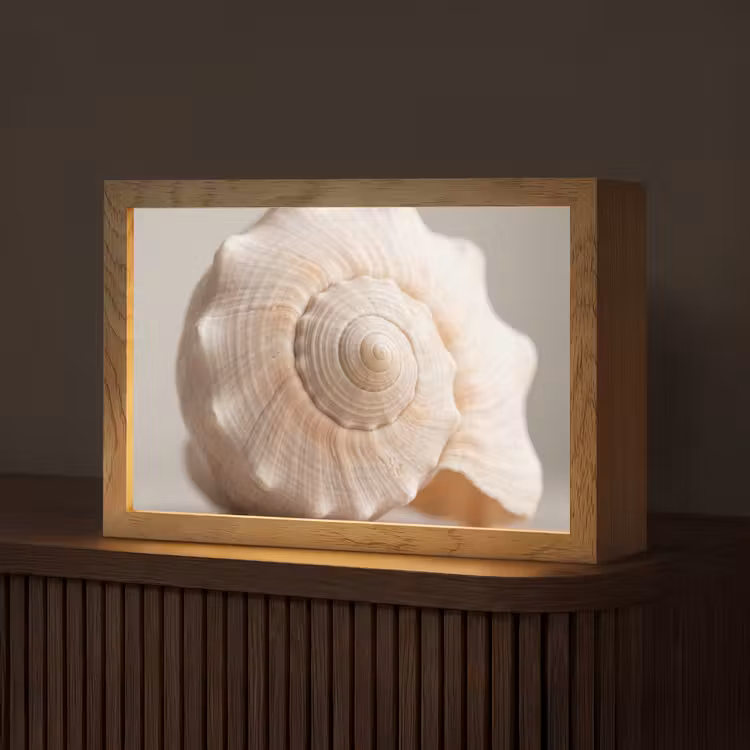 Schelp - Detail - Beige Light Box met kabel (Tafellamp) klein -z3d_website