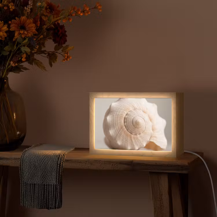 Schelp - Detail - Beige Light Box met kabel (Tafellamp) klein -sfeer4