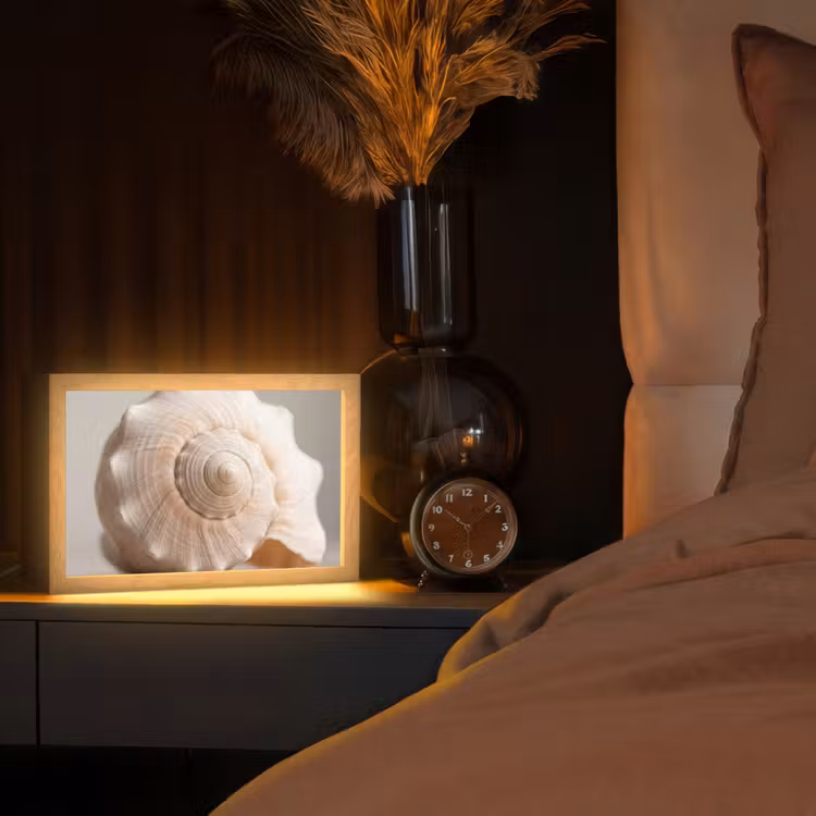 Schelp - Detail - Beige Light Box met kabel (Tafellamp) klein -sfeer1