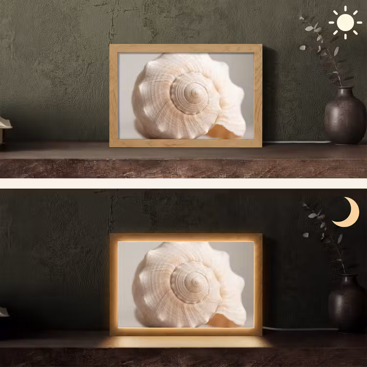 Schelp - Detail - Beige Light Box met kabel (Tafellamp) klein -sfeer3
