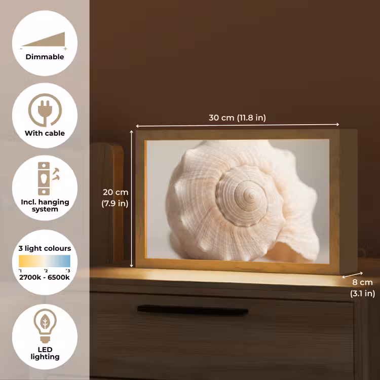 Schelp - Detail - Beige Light Box met kabel (Tafellamp) klein -USP_EN