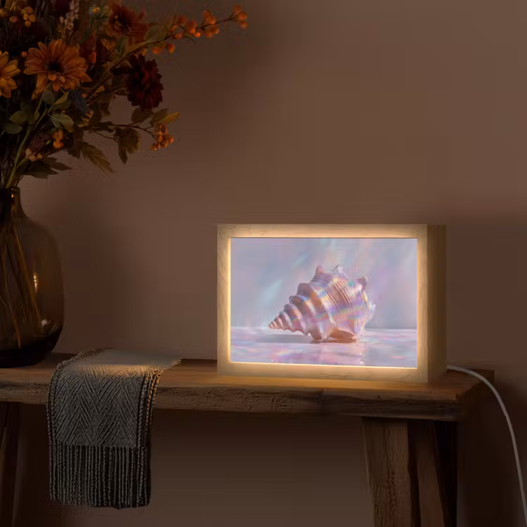 Schelp - Glanzend - Regenboogtinten Light Box met kabel (Tafellamp) klein -sfeer4