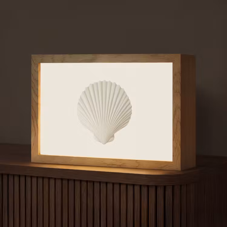 Schelp - Minimalistisch - Wit Light Box met kabel (Tafellamp) klein -z3d_website