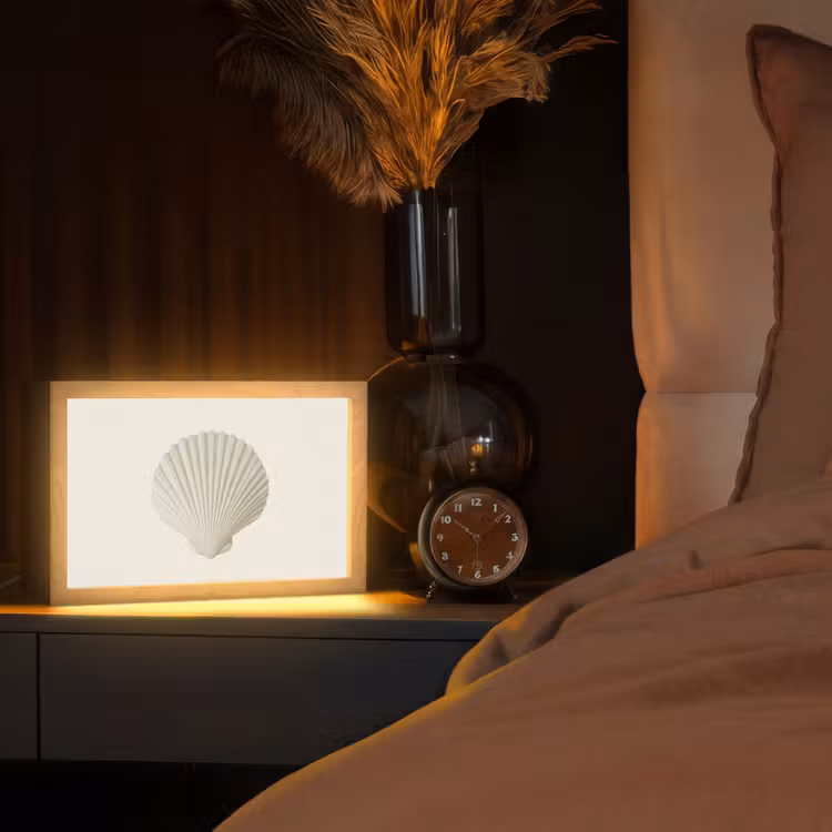 Schelp - Minimalistisch - Wit Light Box met kabel (Tafellamp) klein -sfeer1