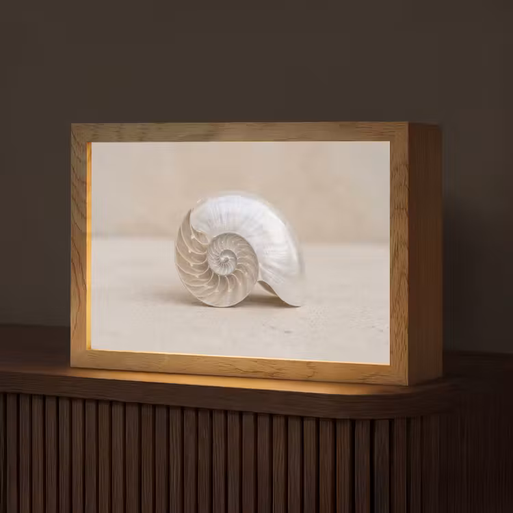 Schelp - Spiraal - Beige Light Box met kabel (Tafellamp) klein -z3d_website