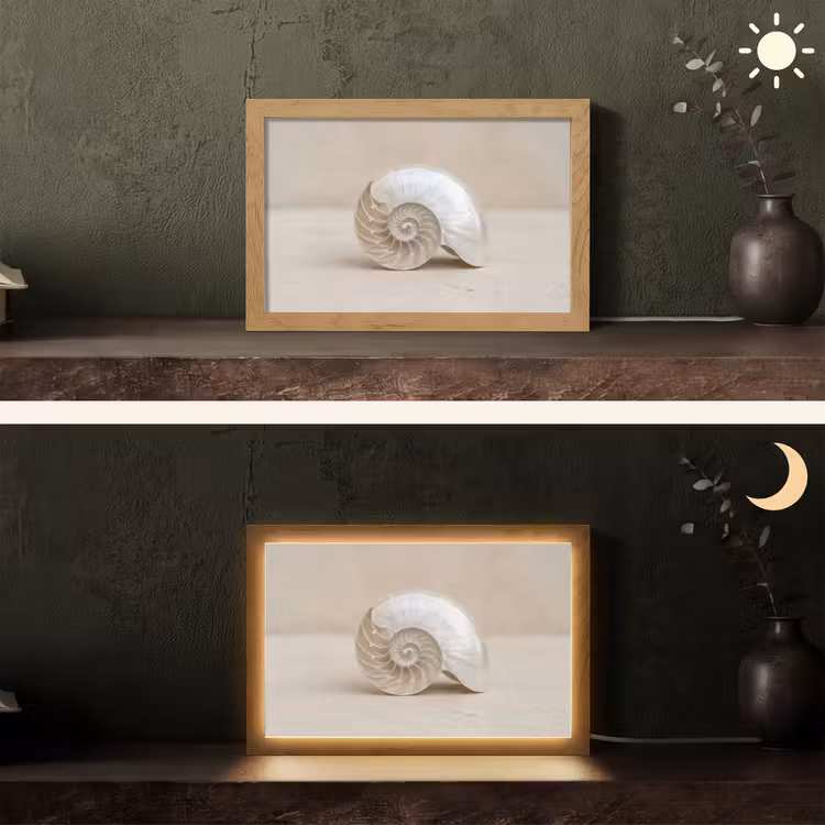 Schelp - Spiraal - Beige Light Box met kabel (Tafellamp) klein -sfeer3