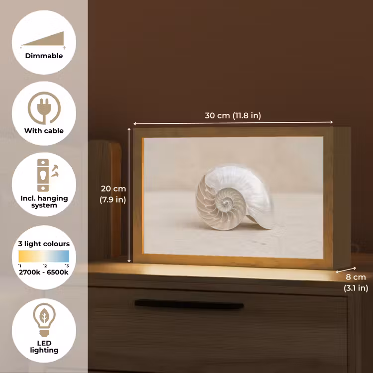 Schelp - Spiraal - Beige Light Box met kabel (Tafellamp) klein -USP_EN