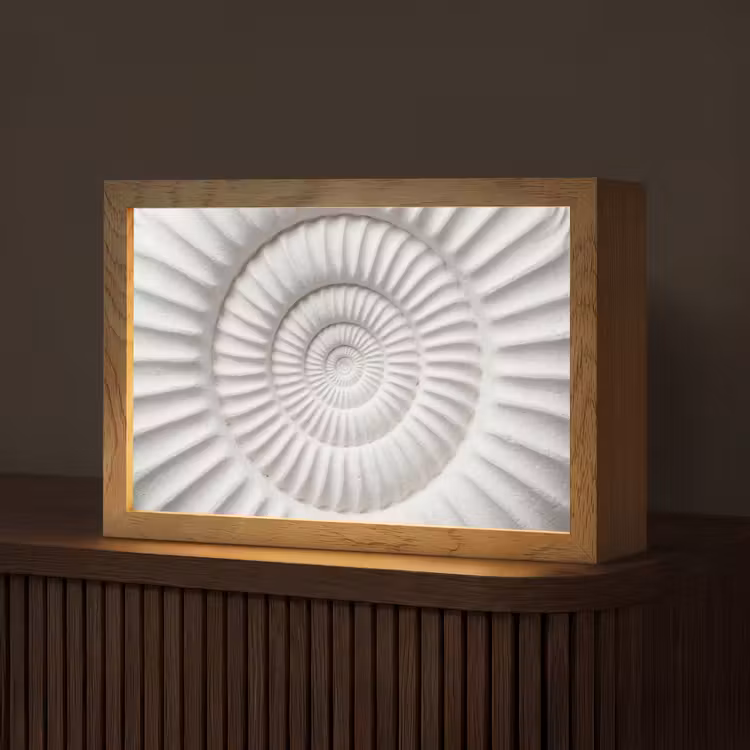 Schelp - Spiraal - Wit Light Box met kabel (Tafellamp) klein -z3d_website