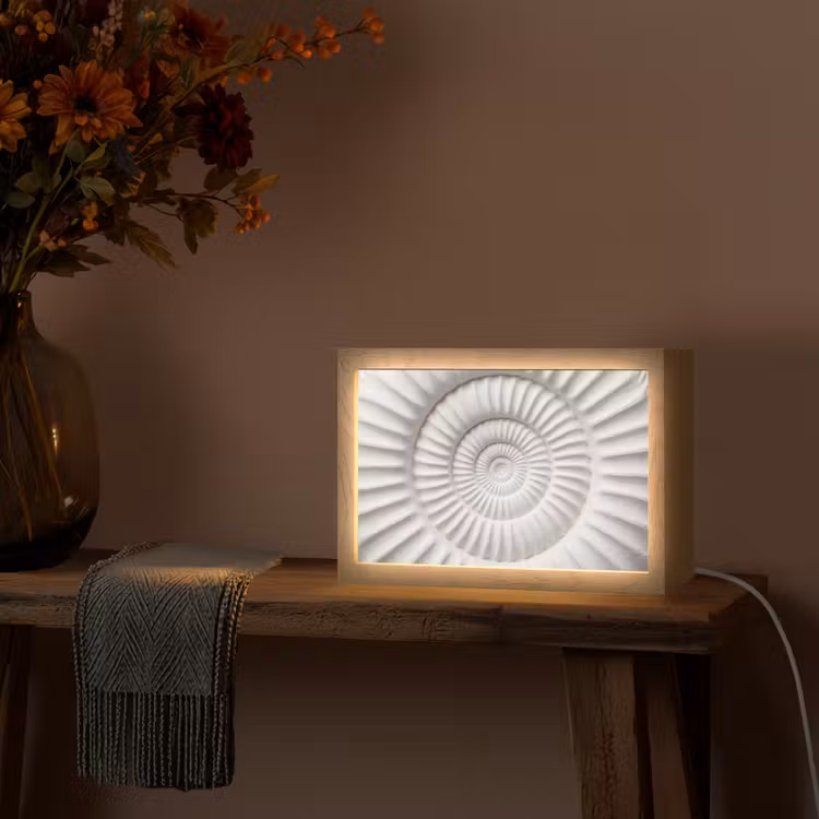 Schelp - Spiraal - Wit Light Box met kabel (Tafellamp) klein -sfeer4