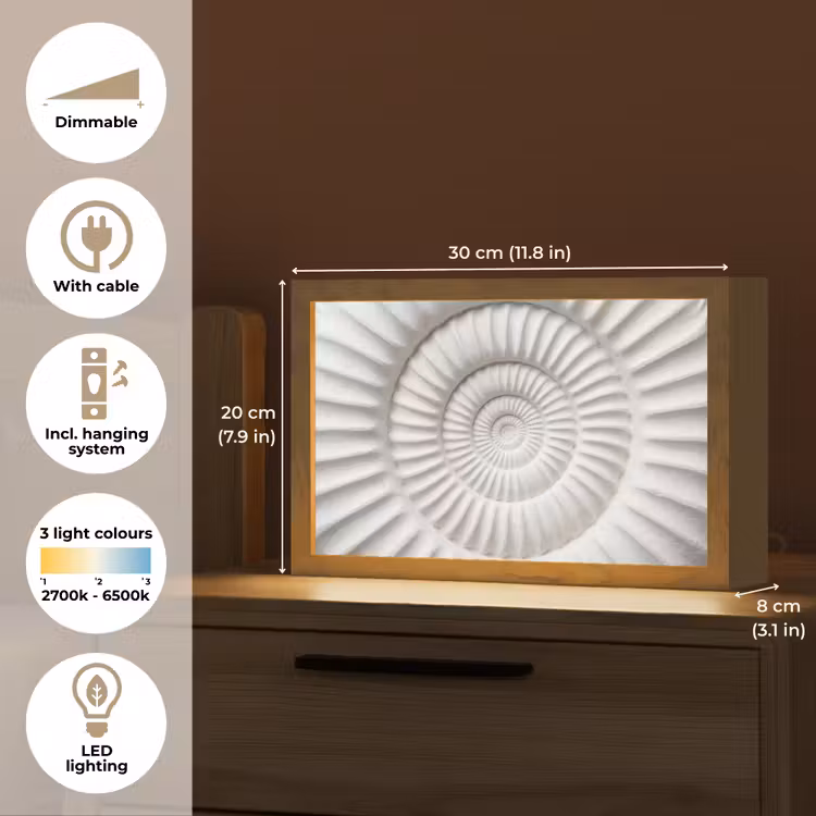 Schelp - Spiraal - Wit Light Box met kabel (Tafellamp) klein -USP_EN