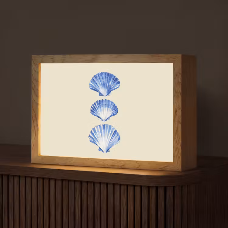 Schelpen - Blauw - Beige Light Box met kabel (Tafellamp) klein -z3d_website
