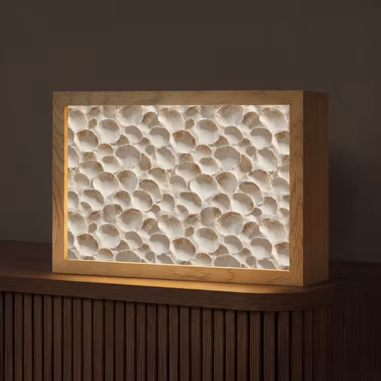 Schelpen - Waaiervorm - Wit Light Box met kabel (Tafellamp) klein 924 -z3d_website