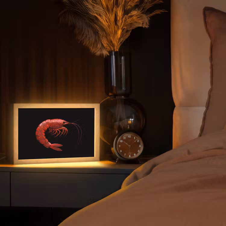 Garnaal - Rood - Dieren Light Box met kabel (Tafellamp) klein -sfeer1