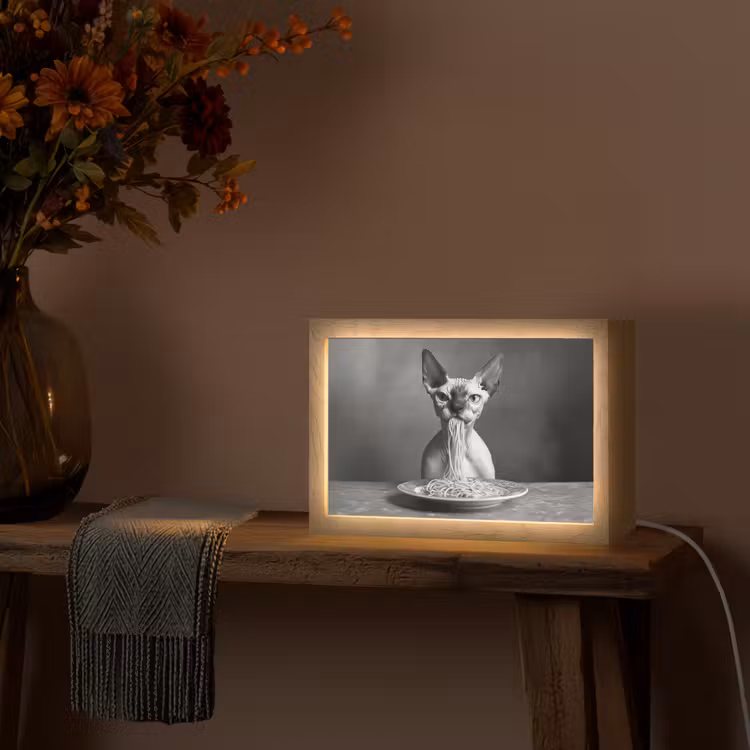 Sphynx - Kat - Dieren - Humor - Spaghetti - Zwart Wit Light Box met kabel (Tafellamp) klein -sfeer4