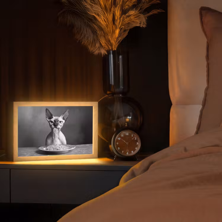 Sphynx - Kat - Dieren - Humor - Spaghetti - Zwart Wit Light Box met kabel (Tafellamp) klein -sfeer1