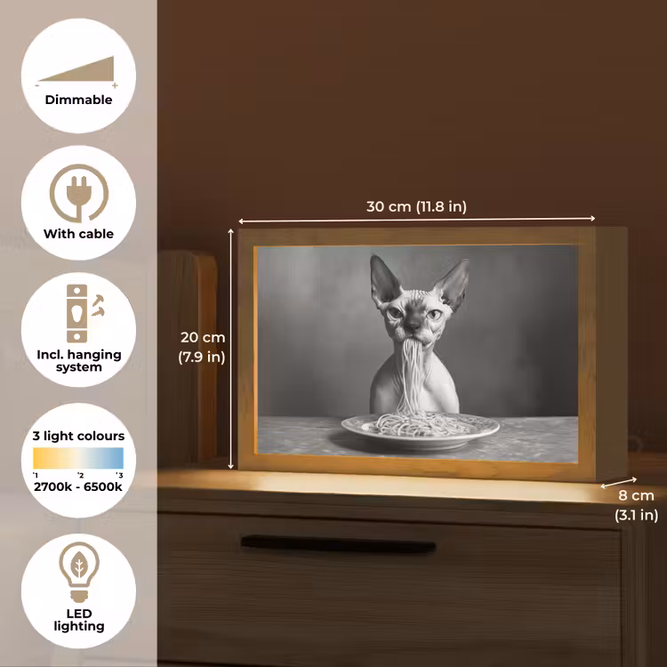 Sphynx - Kat - Dieren - Humor - Spaghetti - Zwart Wit Light Box met kabel (Tafellamp) klein -USP_EN
