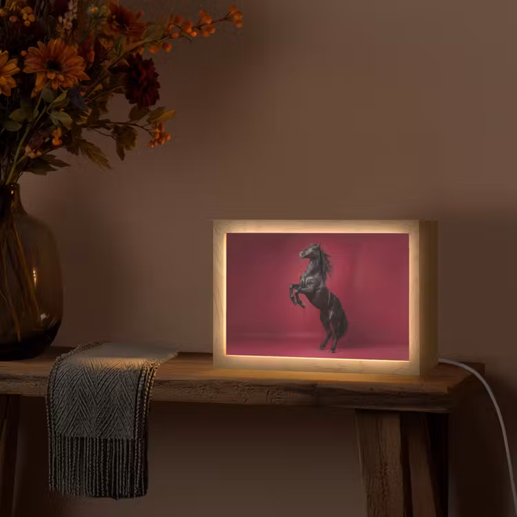 Hengst - Steigert - Rood Light Box met kabel (Tafellamp) klein -sfeer4