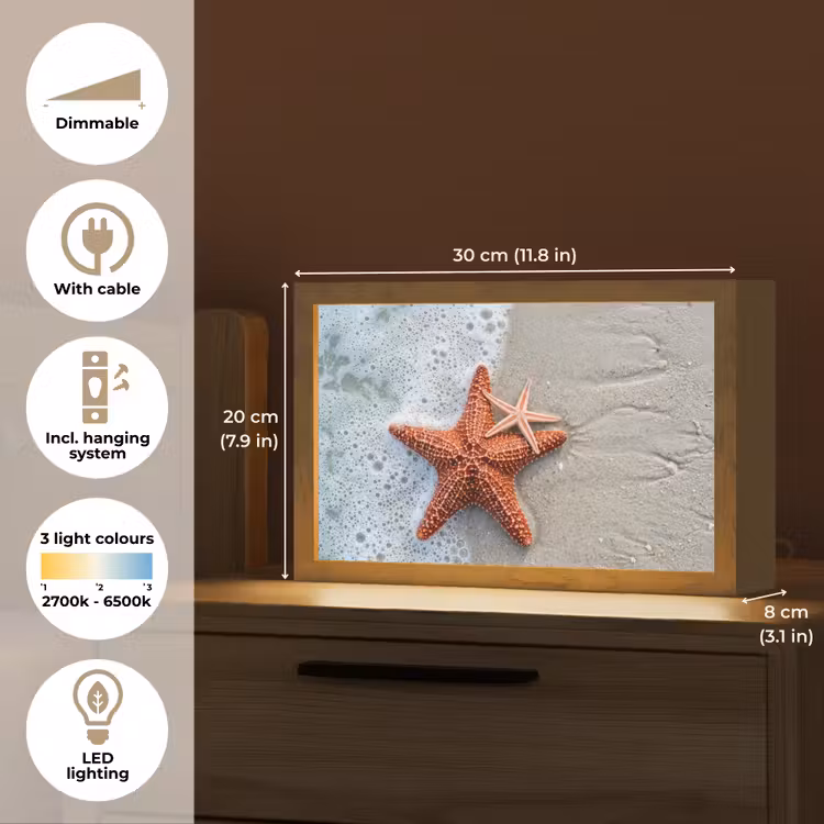 Zeester - Strand - Zee Light Box met kabel (Tafellamp) klein -USP_EN