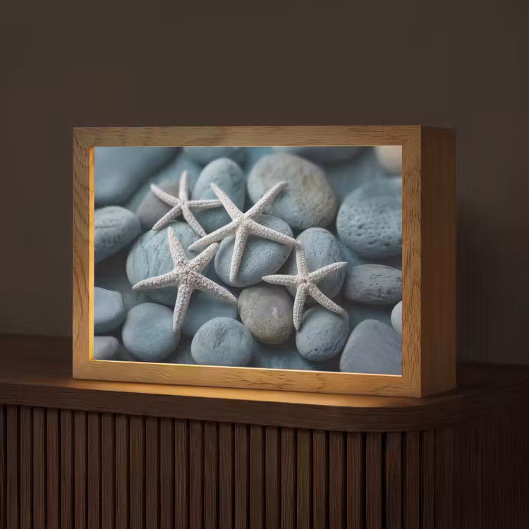 Zeesterren - Stenen - Wit Light Box met kabel (Tafellamp) klein -z3d_website