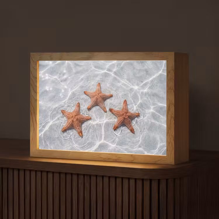 Zeesterren - Water - Helder Light Box met kabel (Tafellamp) klein -z3d_website