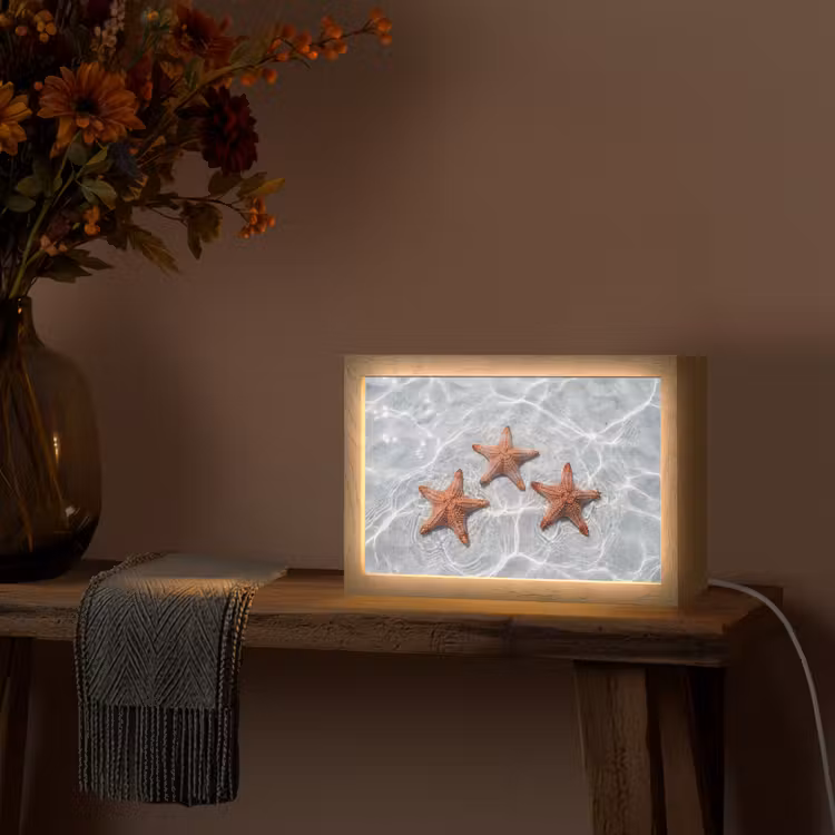 Zeesterren - Water - Helder Light Box met kabel (Tafellamp) klein -sfeer4