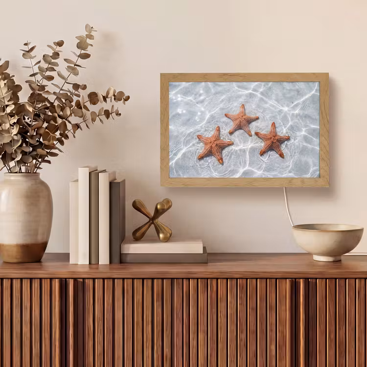 Zeesterren - Water - Helder Light Box met kabel (Tafellamp) klein -sfeer2