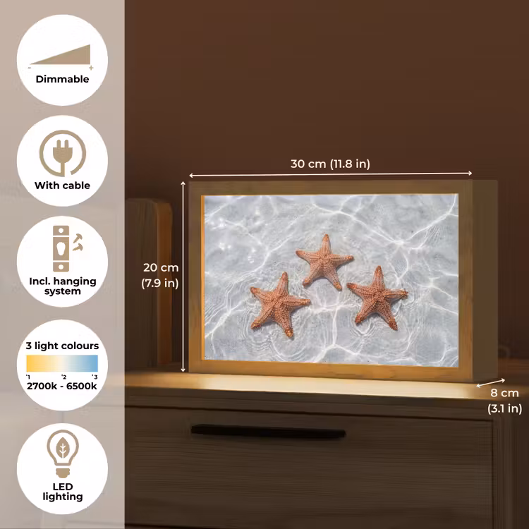 Zeesterren - Water - Helder Light Box met kabel (Tafellamp) klein -USP_EN