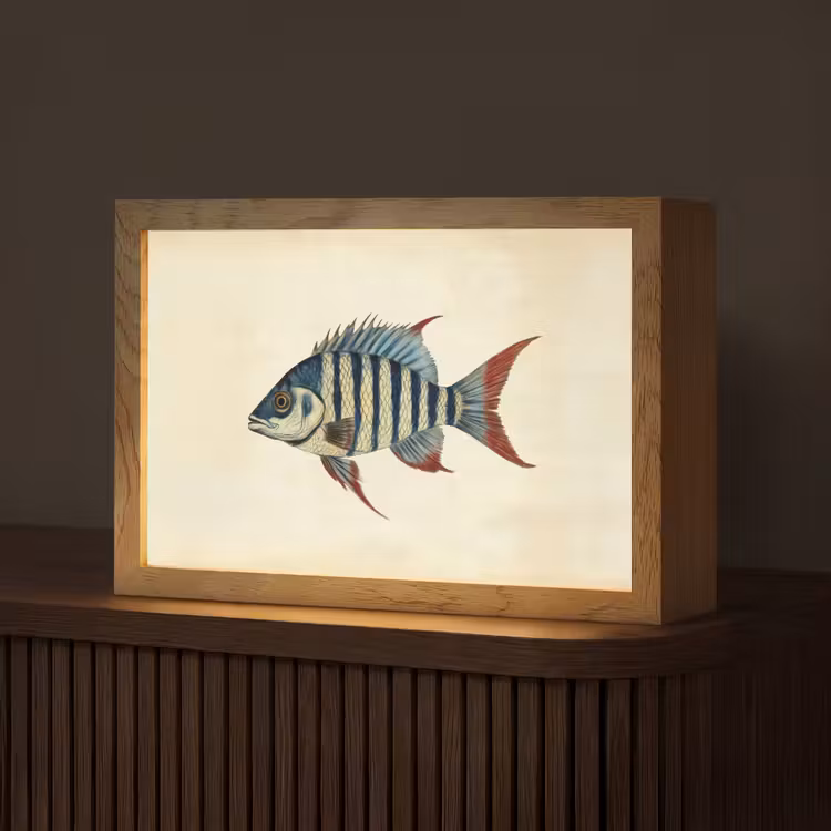 Gestreept - Donkerblauw - Rugvin - Vis Light Box met kabel (Tafellamp) klein -z3d_website