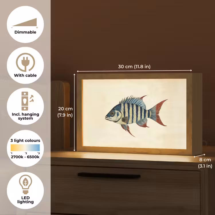 Gestreept - Donkerblauw - Rugvin - Vis Light Box met kabel (Tafellamp) klein -USP_EN