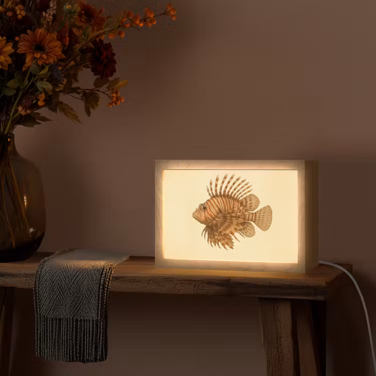 Strepen - Vis - Rond - Stekels Light Box met kabel (Tafellamp) klein -sfeer4