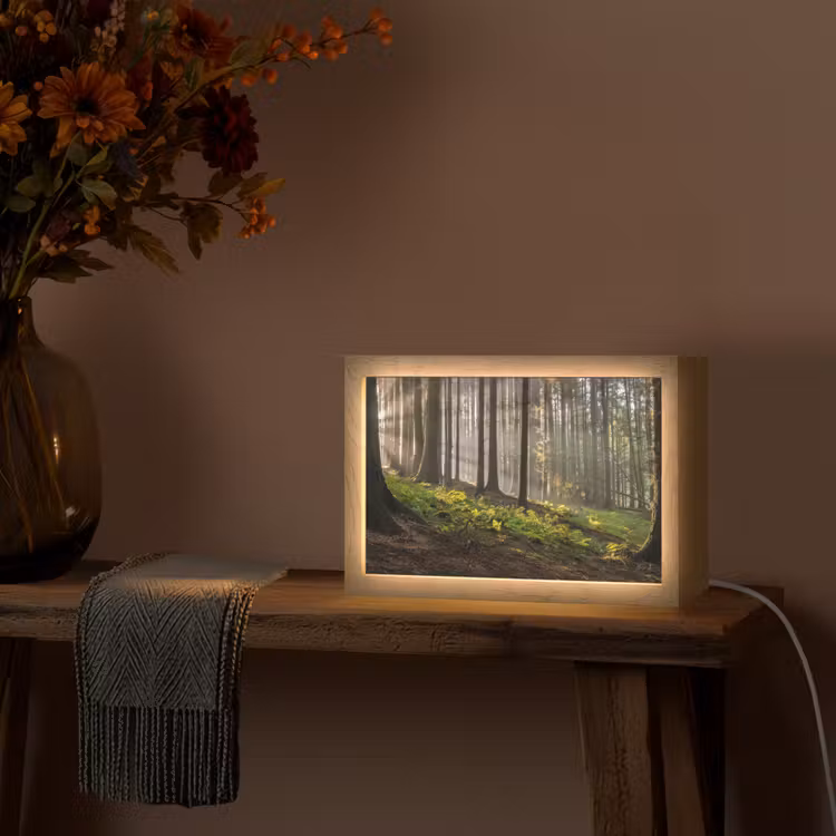 Zon - Takken - Bomen - Bos - Natuur Light Box met kabel (Tafellamp) klein -sfeer4