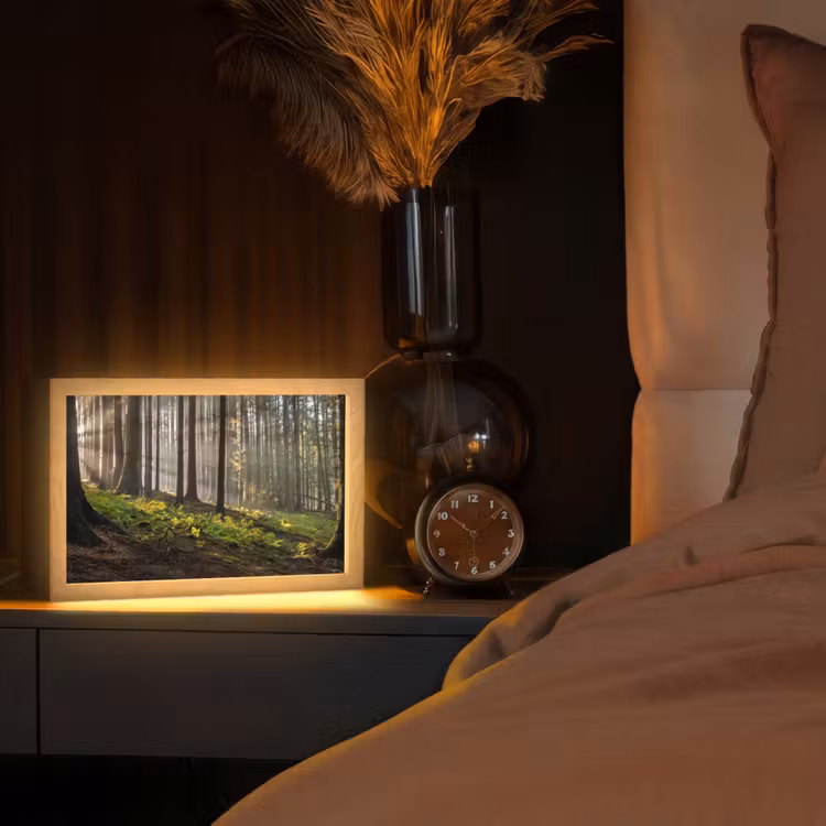 Zon - Takken - Bomen - Bos - Natuur Light Box met kabel (Tafellamp) klein -sfeer1